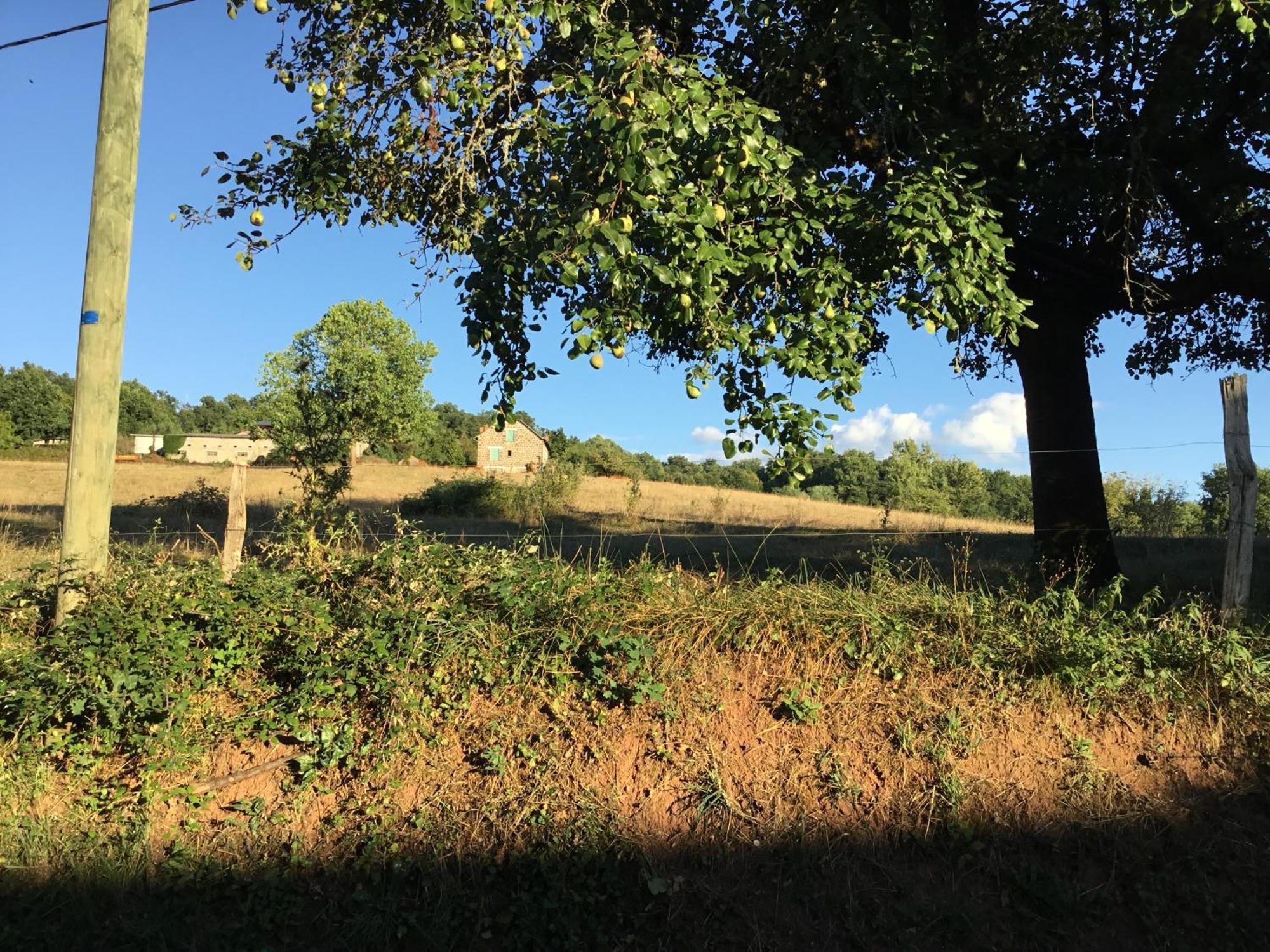 Le Clos De Rose Ussac Eksteriør bilde